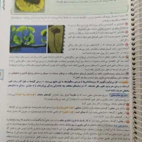 کتاب کنکور وکمک درسی زیست شناسی 3 خیلی سبز|کتاب و مجله آموزشی|هشتگرد, هشتگرد قدیم|دیوار