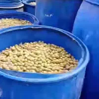 خیارشور ترشیجات زیتون|خوردنی و آشامیدنی|مشهد, حجت|دیوار