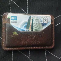 پیدا شده