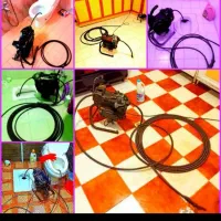 فنر زنی لوله باز کنی با۲۰۰هزارتومان توس مشهد|خدمات پیشه و مهارت|مشهد, آبکوه|دیوار