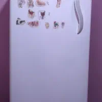 فریزر ایستاده سیلوان|یخچال و فریزر|سوسنگرد, |دیوار