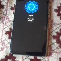 کوشی کارتون دار