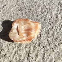 فروشی|جواهرات|کنگاور, |دیوار