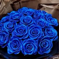 گل های مناسبتی|گل مصنوعی|سنندج, |دیوار