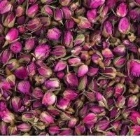 گل محمدی
