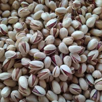 پسته ممتازاستان کرمان/تمام انواع/صادراتی وداخلی