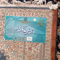 فروش چهار تخته فرش 1000شانه تراکم 3000اصل اصل|فرش|مهاباد (آذربایجان غربی), |دیوار