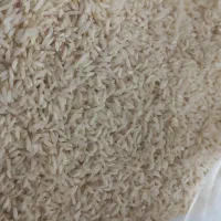 برنج دم سیاه معمولان