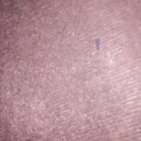 موکت طرح کبریتی سالم وتمیز|موکت|قوچان, |دیوار