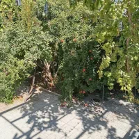 فروش منزل ویلایی