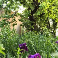 منزل مسکونی