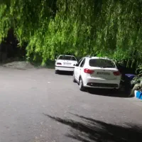 سویت جنگلی نزدیک ساحل روزانه