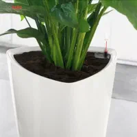 گلدان لچوزا مدل Delta 40 ارتفاع 75.5 سانتی متر|گل و گیاه طبیعی|لار, |دیوار