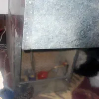 سایلنت باکس تک ظرفیتی کاملا هوشمند در حد نو|قطعات و لوازم جانبی رایانه|همدان, |دیوار