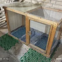 قفس چوبی محکم