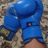 دستکش بوکس|تجهیزات ورزشی|همدان, |دیوار