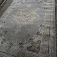 فرش 9متری درحدنو|فرش|بجنورد, |دیوار