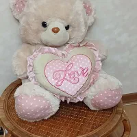 عروسک خرس و خارپشت و دختر
