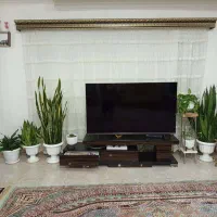 پرده و کتیبه