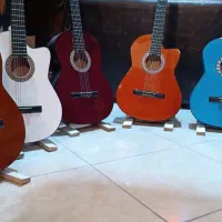 گیتار آلگنو