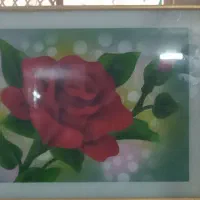 قاب|تابلو، نقاشی، عکس|اردکان, |دیوار
