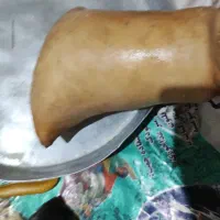 پنیر محلی بز منطقه چهارگنبد