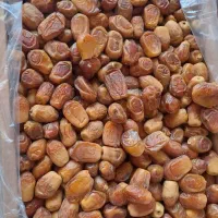 فروش عمده خرما زاهدی، بریم، کبکاب، خاصویی