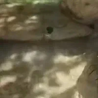 ۱۰۸متر زمین