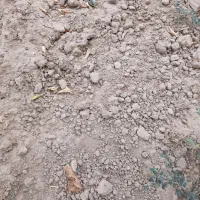 اجاره زمین کشاورزی در انبارالوم شرایطی
