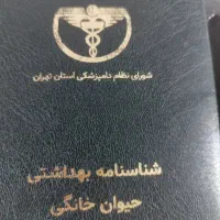 سگ اشپیتز