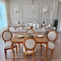 فروشنده مبلمان آقا یا خانم (ماهر نیمه ماهر)