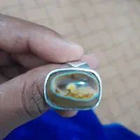 سلطانی نطفه دار