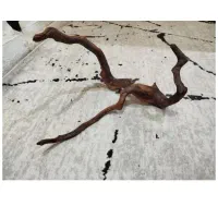 تجهیزات آکواریوم در حد نو