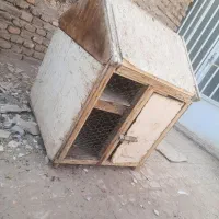 یک عددکلبه دو تبقه چوبی|لوازم جانبی حیوانات|رفسنجان, |دیوار