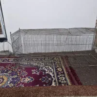 قفس پرنده