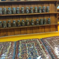 نیرو کار اقا