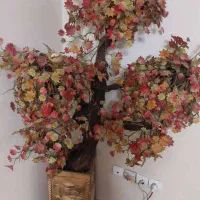 درختچه پاییزی و بوفه