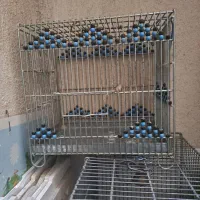 قفس مهره دار