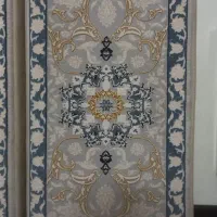 پشتی درحدنو