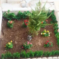 خدمات باغبانی گل کاری هرس کاری تعویض خاک گلدان|خدمات باغبانی و درختکاری|تهران, گیشا|دیوار