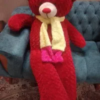 خرس ولنتاین بزرگ