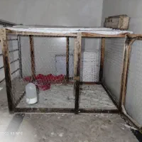 قفس چوبی برای پرنده