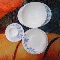 دودست اکوپال فروشی|ظروف سرو و پذیرایی|شاهدشهر, |دیوار