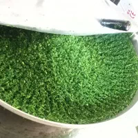 سبزی انواع سبزی و پیاز سرخ شده و بادمجان