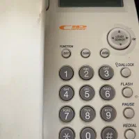 خط تلفن رند حافظیه دو عدد با قیمت بسیار پایین