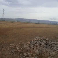 فروش ۳ هکتار و نیم زمین کشاورزی تک برگ