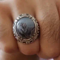 شجر تک درخت