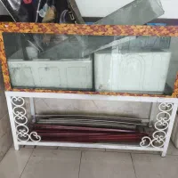 فروش چندین آکواریوم زیر قیمت|ماهی|قائم‌شهر, |دیوار