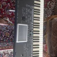 ارگ درحد نو