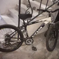 دوچرخه ویوا اصل